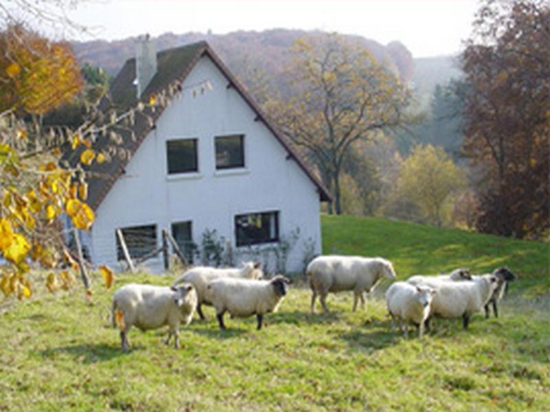 Chambre D'Hotes Les Champarts Tourville-la-Chapelle Exterior foto